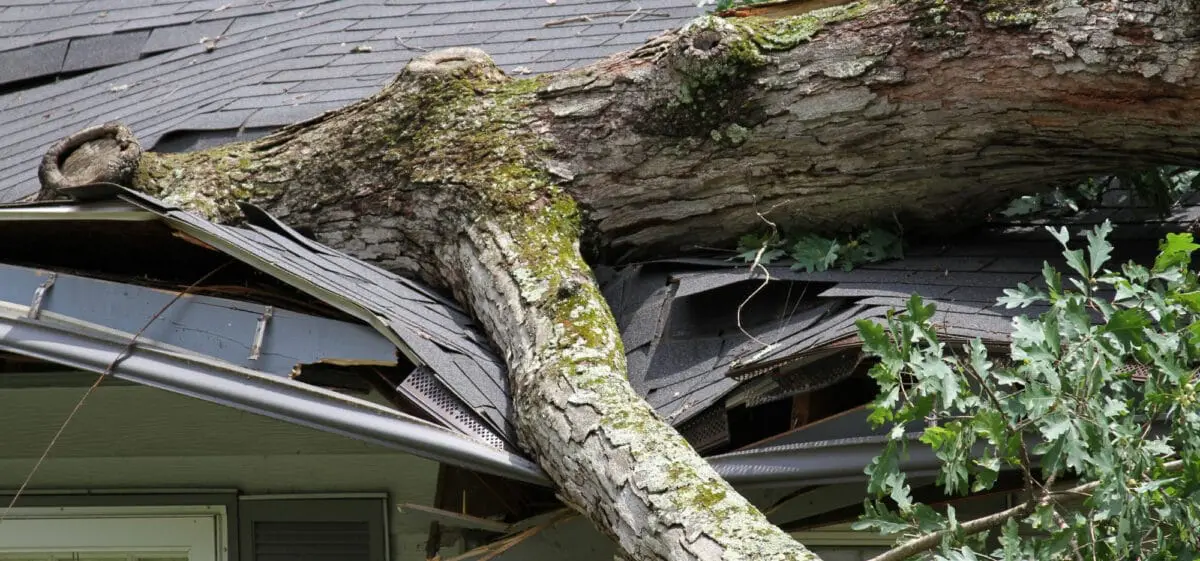 247 roof repair services in bossier city