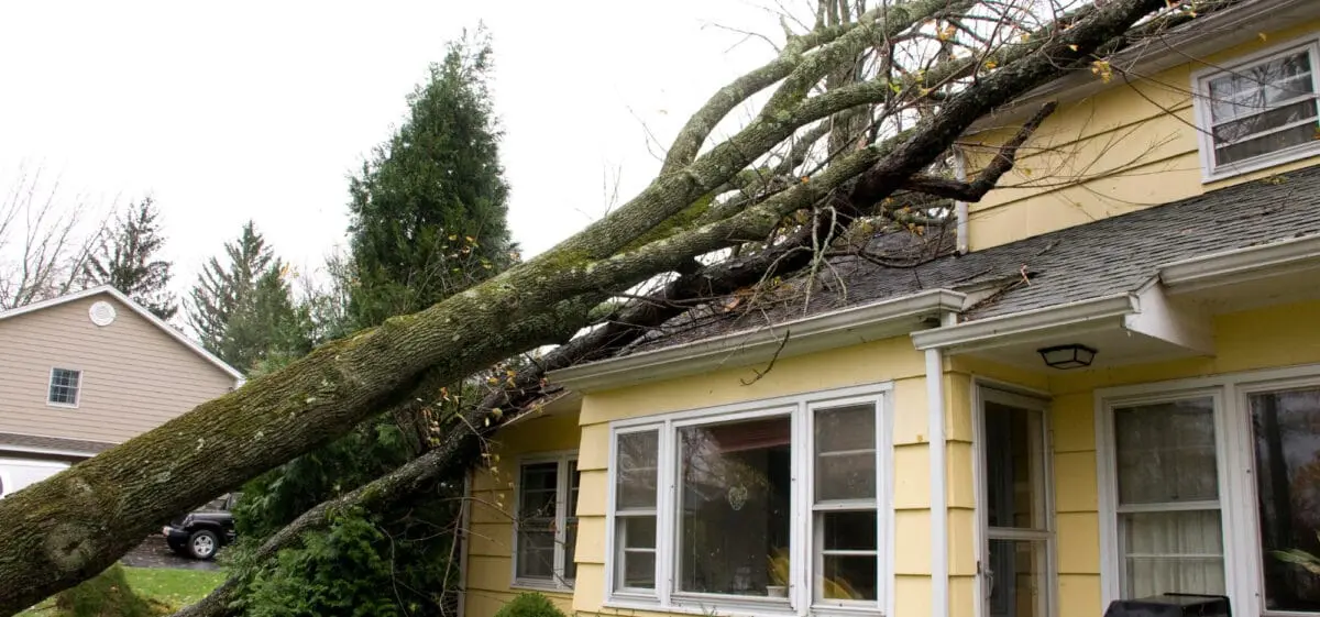 emergency roof repair in minden