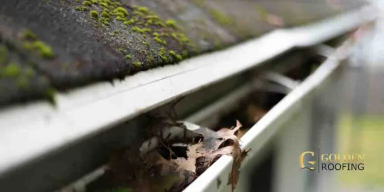 Gutter Apron vs Drip Edge