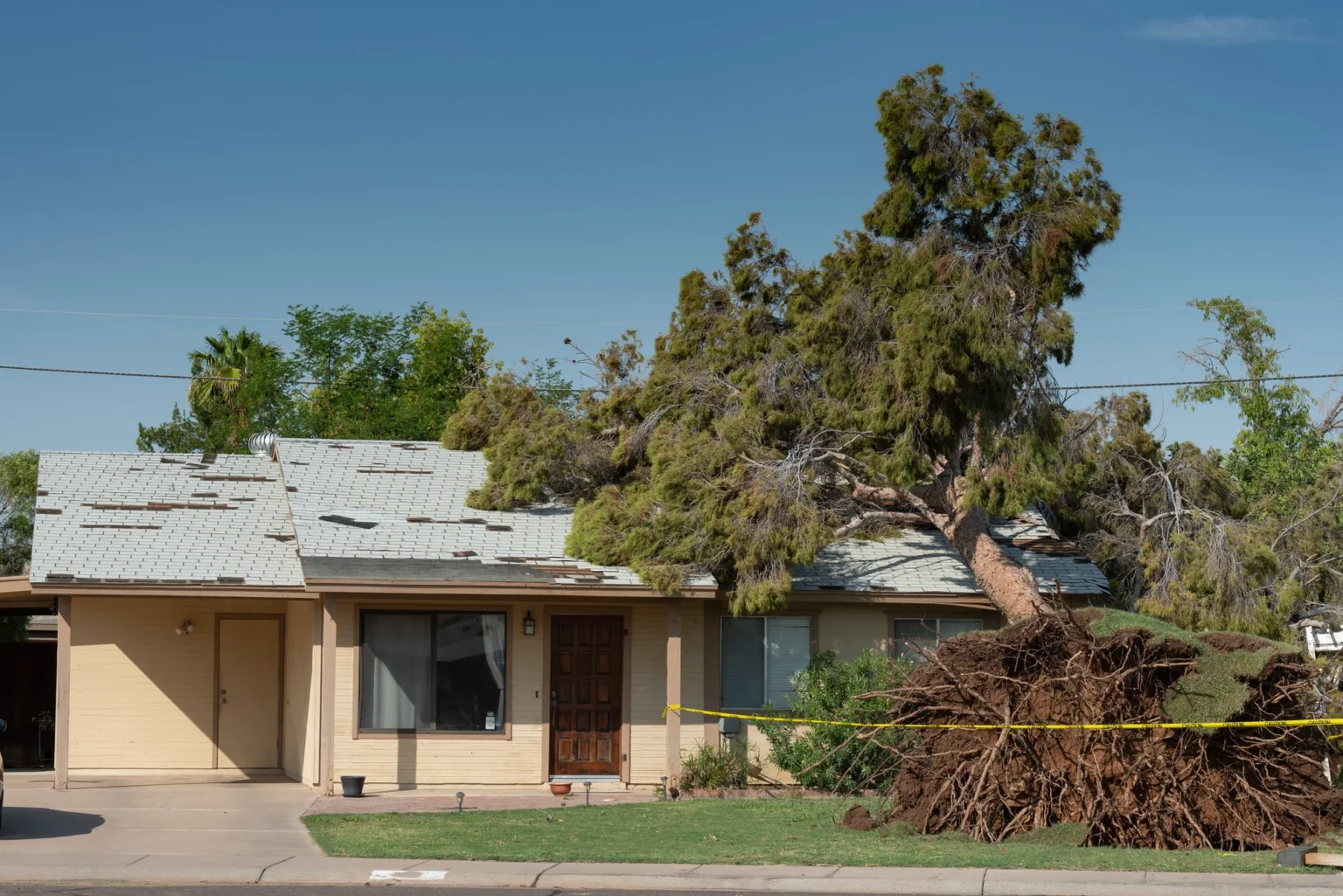 Tree fallen on house